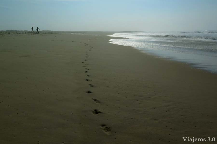 playa de São Vicente, playas de Aveiro