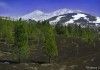 Quรฉ ver y quรฉ hacer en Tenerife en una semana inolvidable El Teide con nieve, quรฉ ver y quรฉ hacer en Tenerife