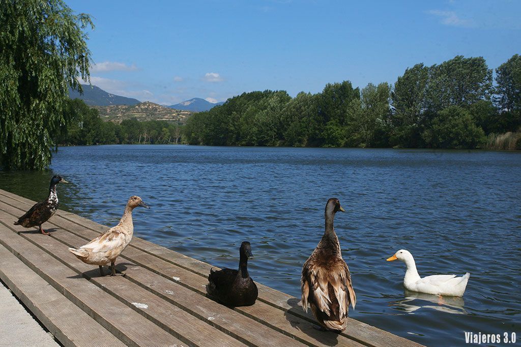 río Ebro a su paso por Briñas, uno de los pueblos más bonitos de La Rioja alta