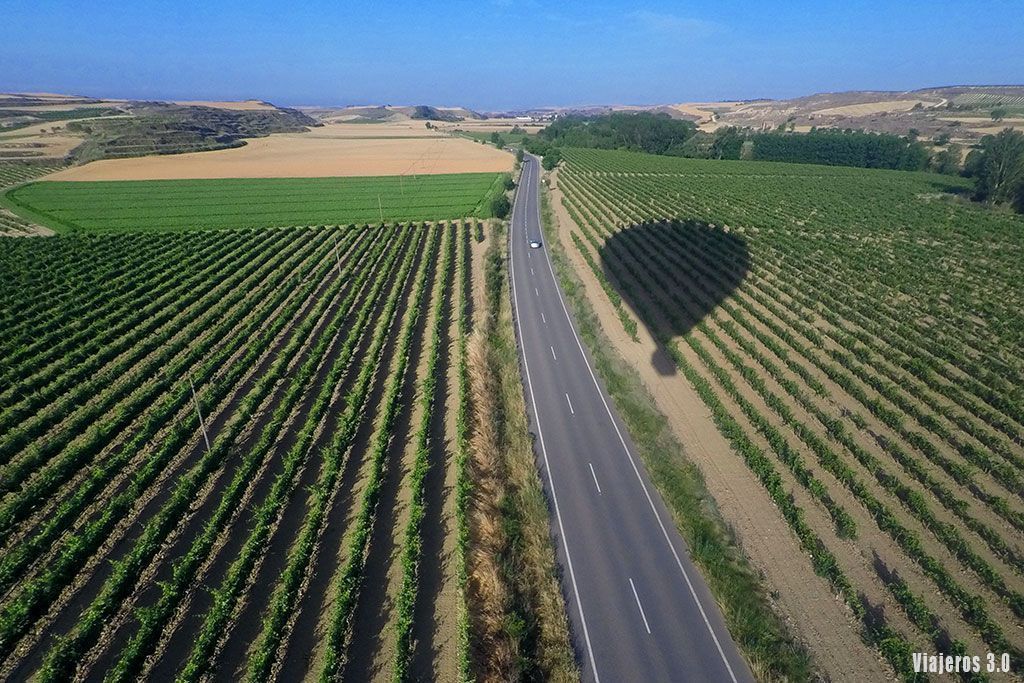 viƱedos, volar en globo por La Rioja