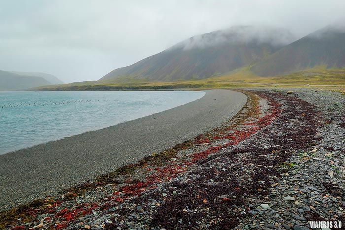 Playa en la Península de Snaefellsnes.