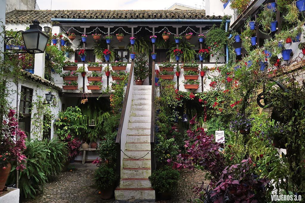 patios de Córdoba, que ver y que hacer en Córdoba