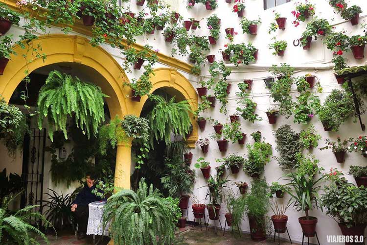Patios de calle San Basilio