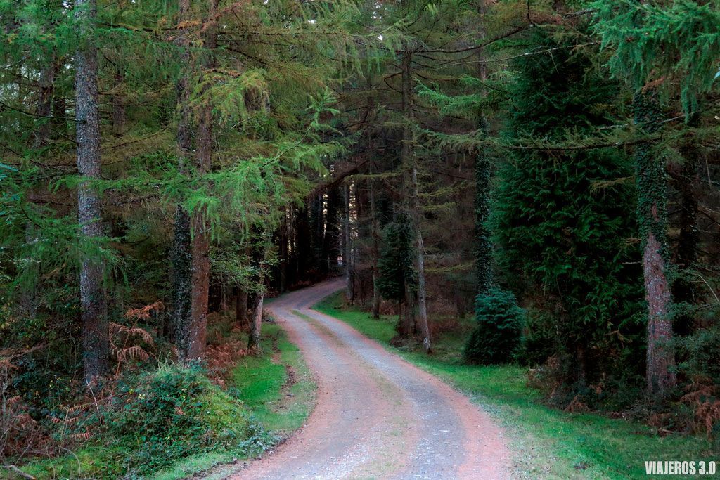 valles y bosques, que ver en Gorbea