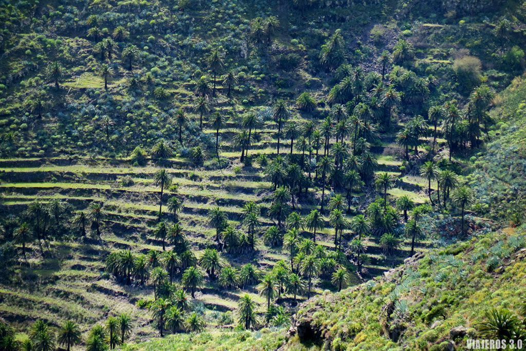 bancales, qué hacer y qué ver en La Gomera