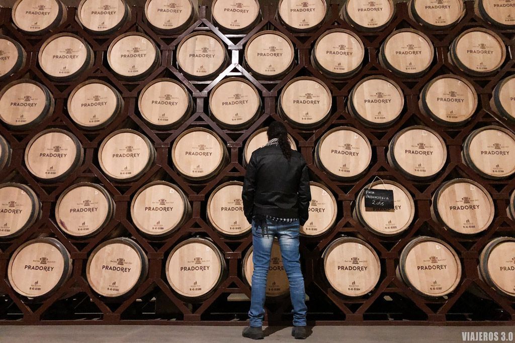 Bodegas Pradorey en la Ribera del Duero