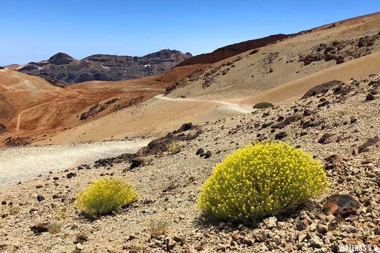 ascenso pico del Teide, ruta a pie