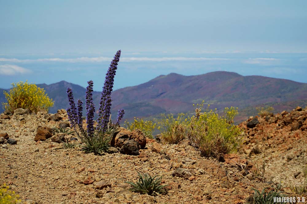 Senderismo, cómo subir al pico del Teide a pie