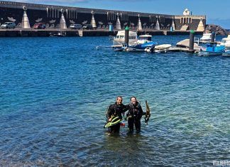 Mi bautismo de buceo en El Hierro ”venciendo miedos! Bautismo de buceo en El Hierro: muelle de La Restinga