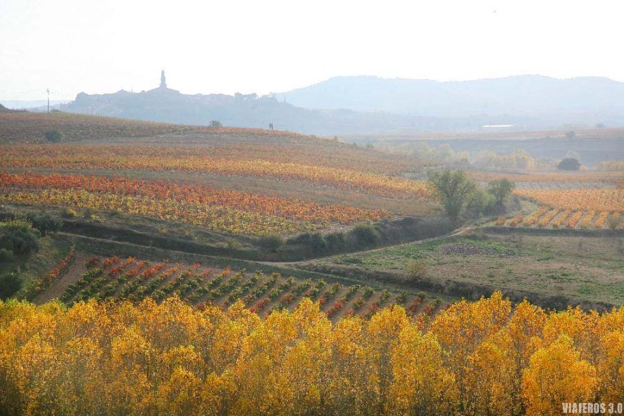 Qué hacer y ver en LA RIOJA: 20 lugares alucinantes ️