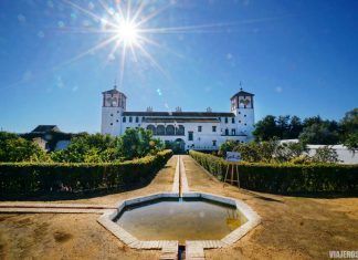 Hacienda GuzmƔn, el oleoturismo en Sevilla tiene nombre propio
