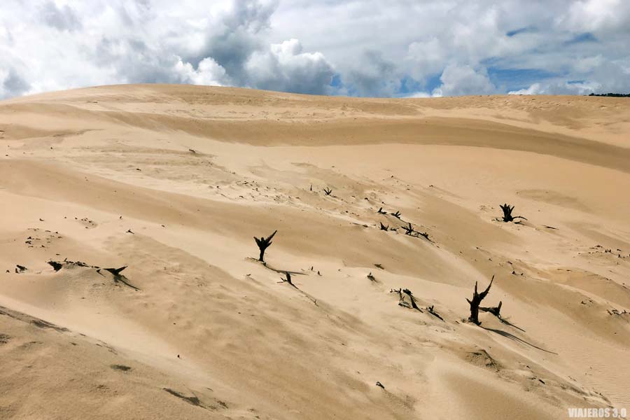 Duna móvil de Bolonia