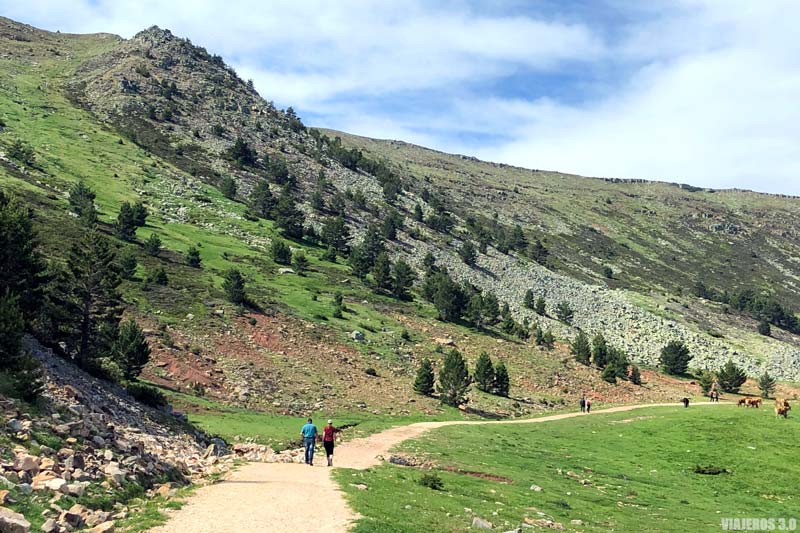 Camino de acceso a las Lagunas de Neila