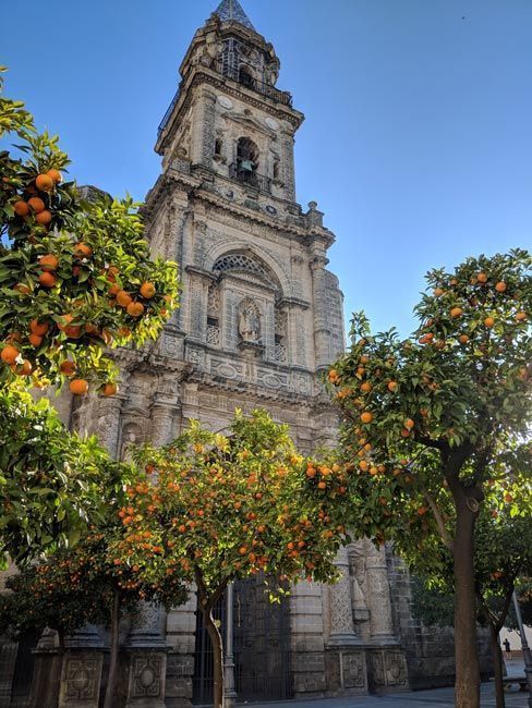 Jerez de la Frontera, qué ver en Cádiz provincia