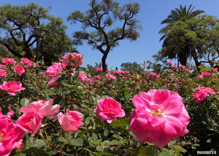 Bosques de Palermo, free tour de Buenos Aires