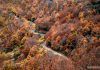 bosques de otoño en León