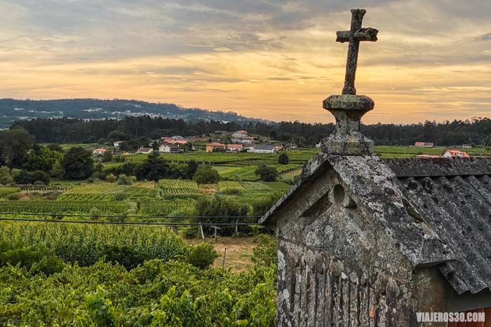 Viñedos en Cambados, ruta por las Rías Baixas.