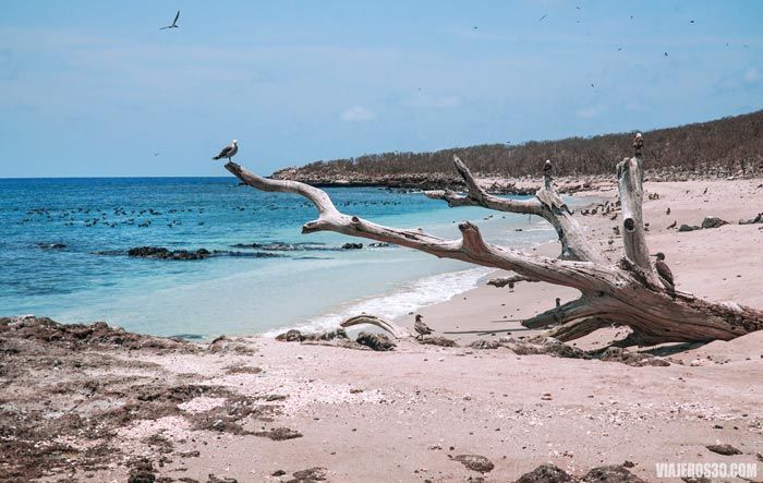 Playas del Parque Nacional Isla Isabel en México