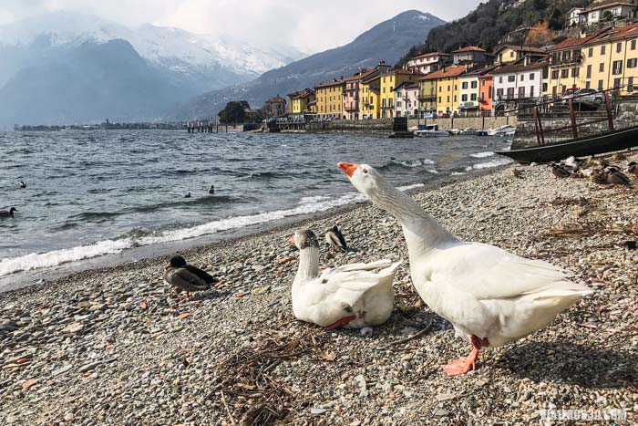 pueblos del Lago de Como.