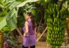Qué hacer en Gran Canaria ¡7 excursiones de norte a sur! Qué hacer en Gran Canaria, las mejores excursiones