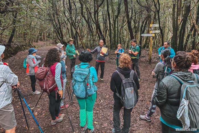 Ruta etnobotรกnica en el Anaga Biofest