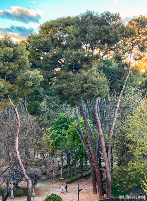 Qué ver y hacer en Albacete: Parque Abelardo Sánchez