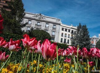 QuĆ© ver en Albacete ciudad en 1 dĆa Ā”no te arrepentirĆ”s! QuĆ© hacer y quĆ© ver en Albacete en 1 dĆa