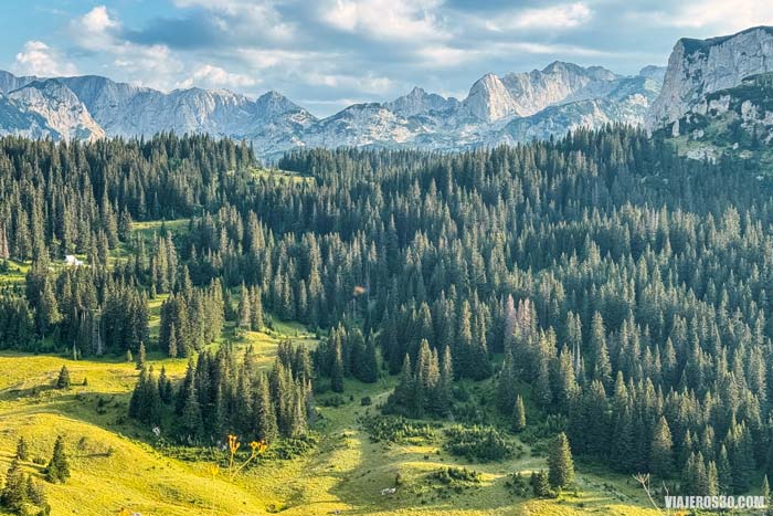 Carretera del Anillo de Durmitor