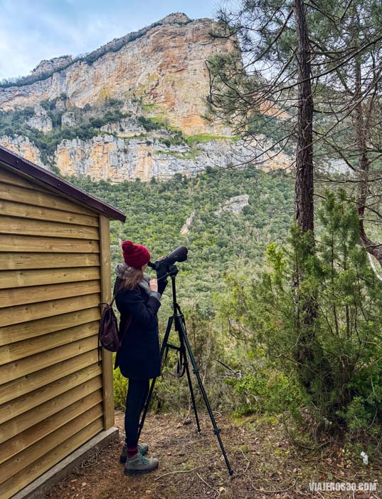 Observatorio de aves en Tartalés de Cilla.