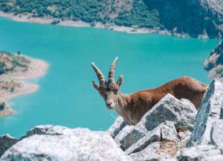 12 rutas en la Montaña Leonesa ”para todos los niveles! Mejores rutas de senderismo en la Montaña Leonesa