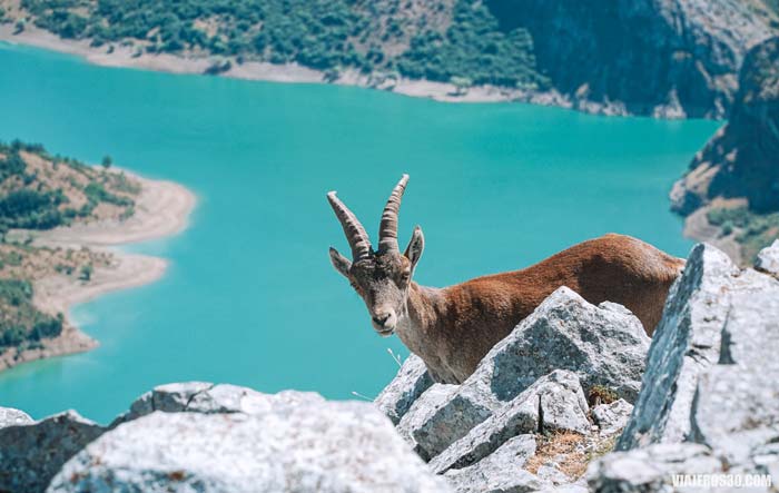 Mejor rutas de la Montaña Leonesa
