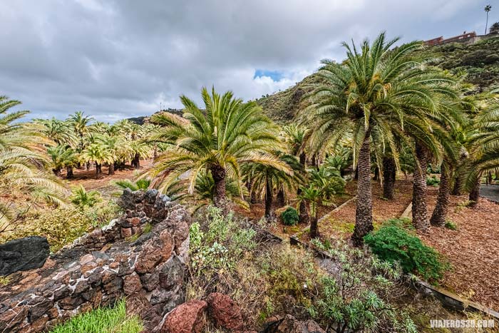 Jardín Botánico de de Viera y Clavijo
