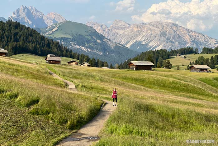 Sendero alpe di Siusi.