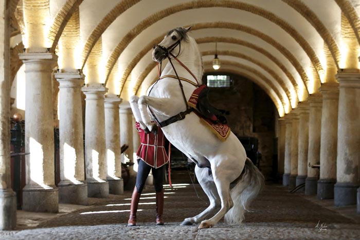 Caballerizas Reales, qué ver en Córdoba en un fin de semana