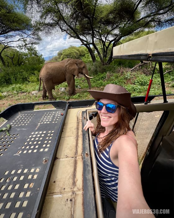 Safari por Tanzania, elefante